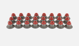 Маслосъемные колпачки к-кт (24шт) 3.5L Ford Explorer 2011-2018 Mahle SS46052 ;  BL3Z6571A