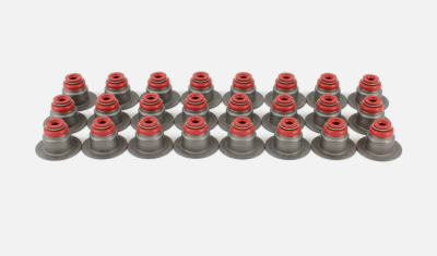 Маслосъемные колпачки к-кт (24шт) 3.5L Ford Explorer 2011-2018 Mahle SS46052 ;  BL3Z6571A